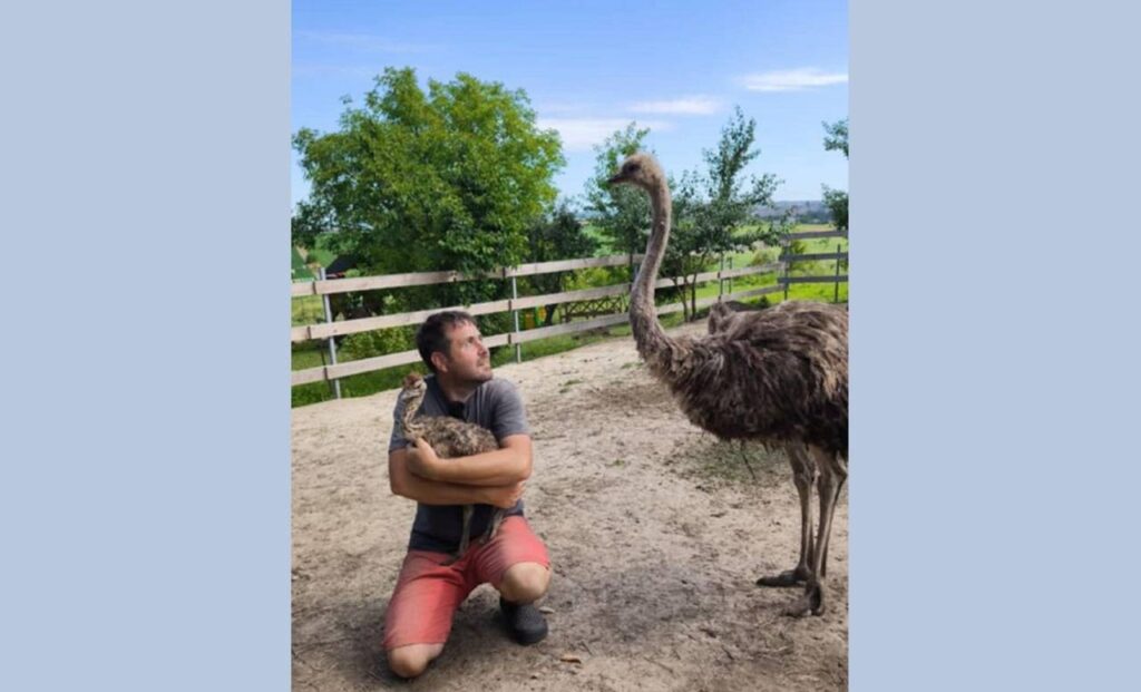 Родина переселенців із Запоріжжя створила на Франківщині унікальну екоферму зі страусами та поні