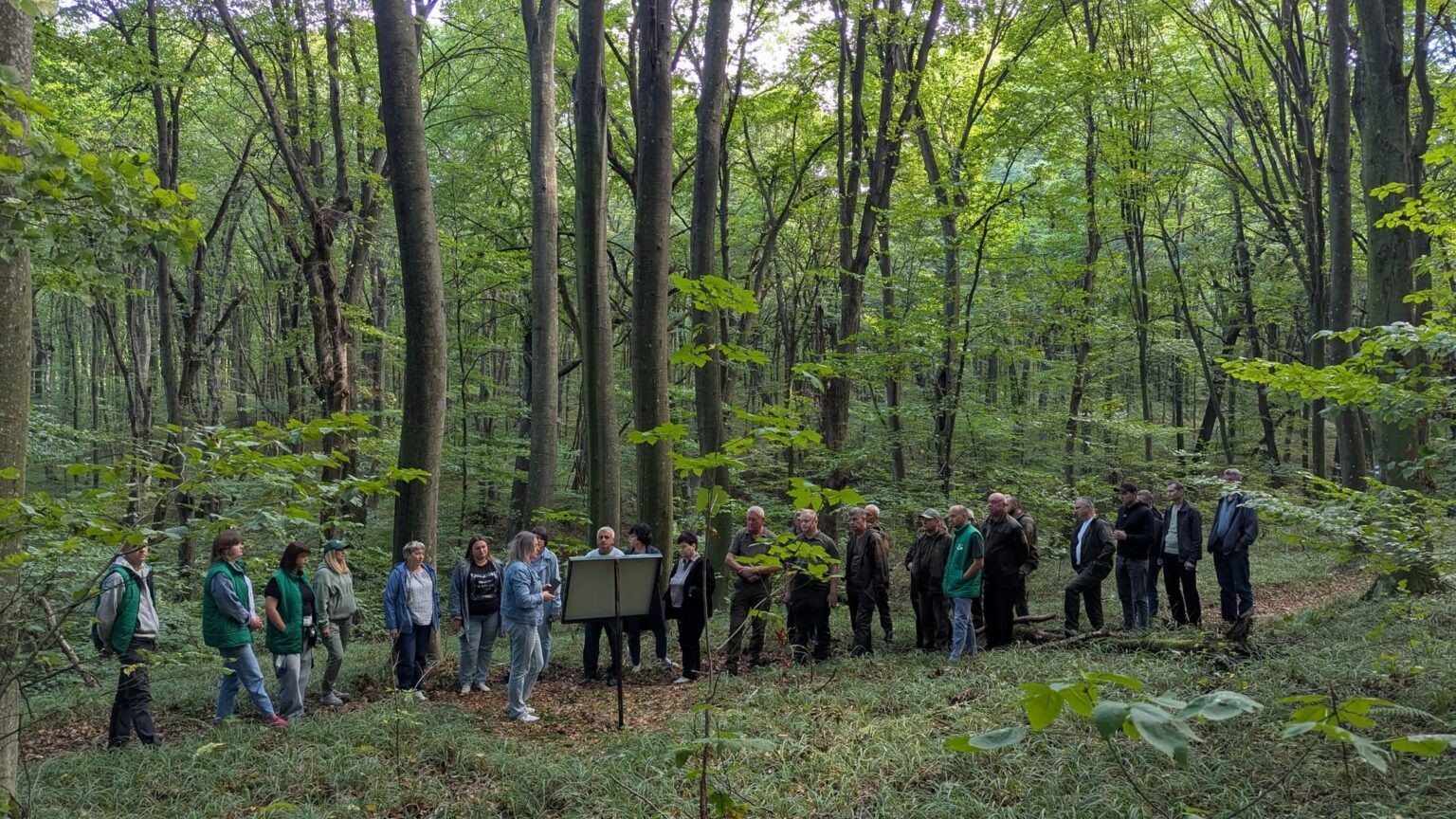 У Галицькому НПП відкрили нову туристичну стежку до Білої скали
