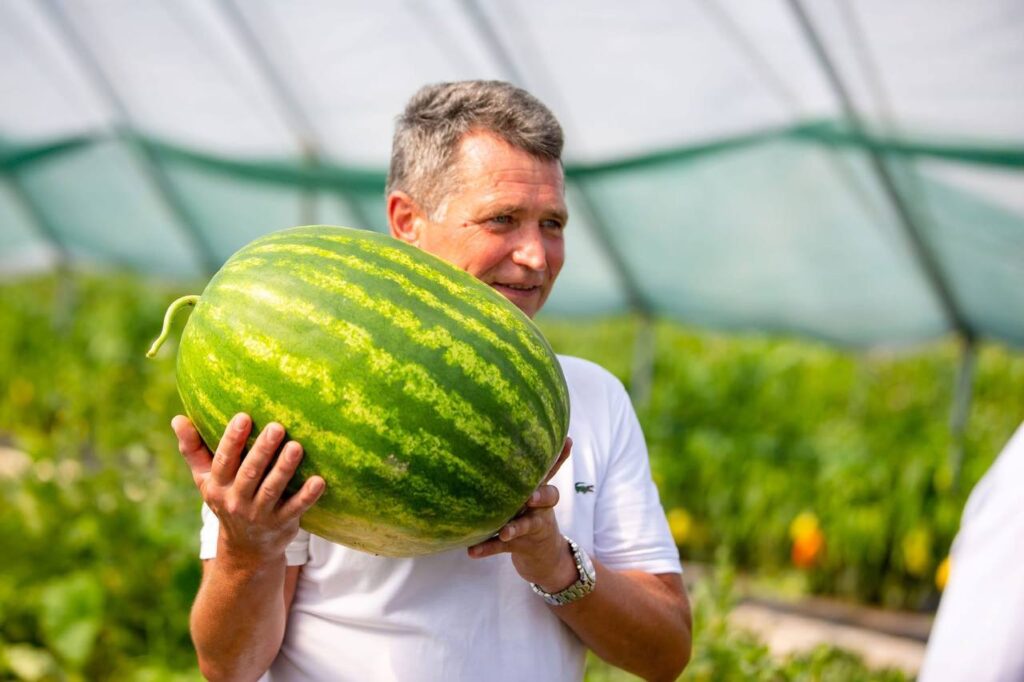 Чоловік тримає великий кавун у теплиці.