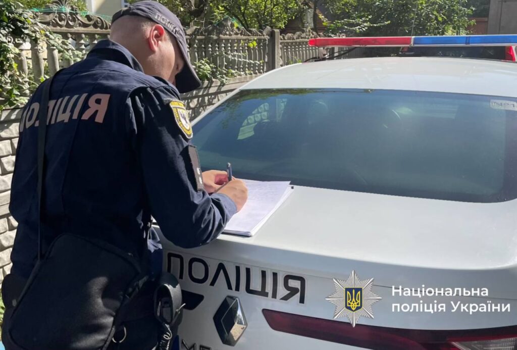 Водій легковика здійснив наїзд на отару овець: поліцейські встановили обставини події