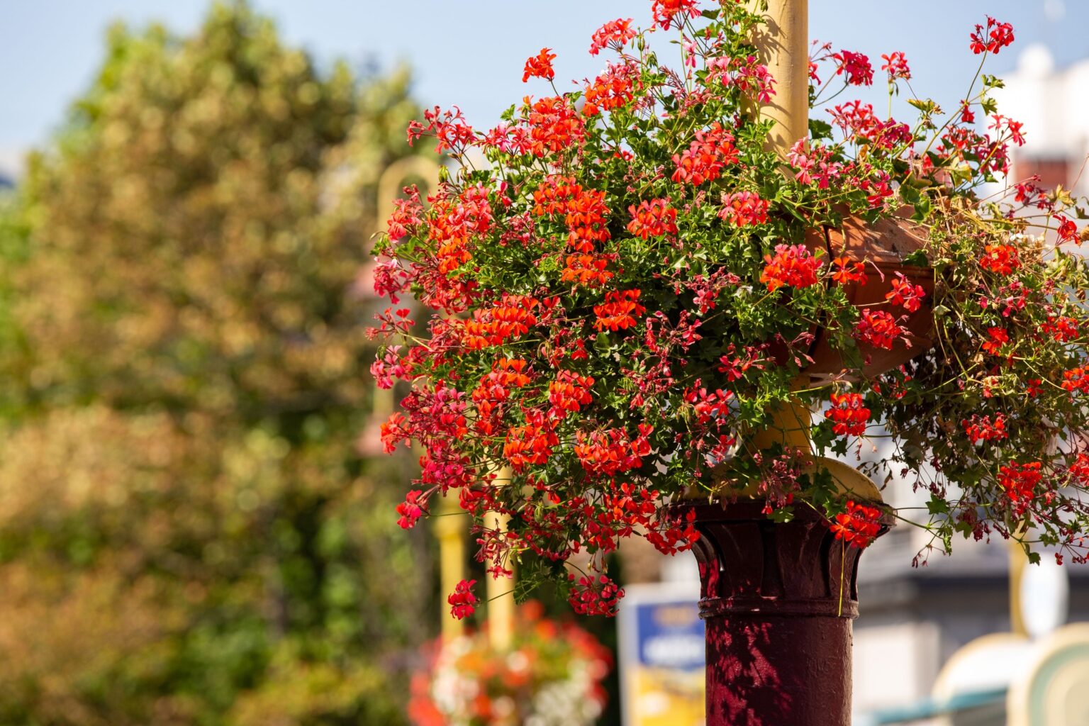 Якою буде погода на Івано-Франківщині 23 вересня