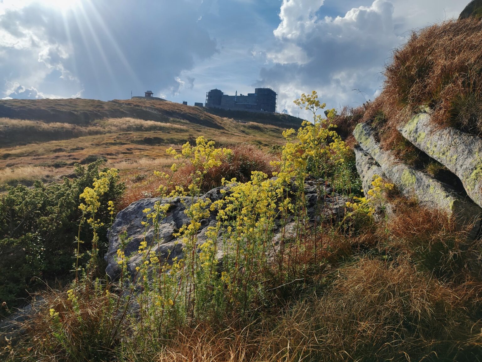 Якою буде погода в Івано-Франківську та області 10 вересня