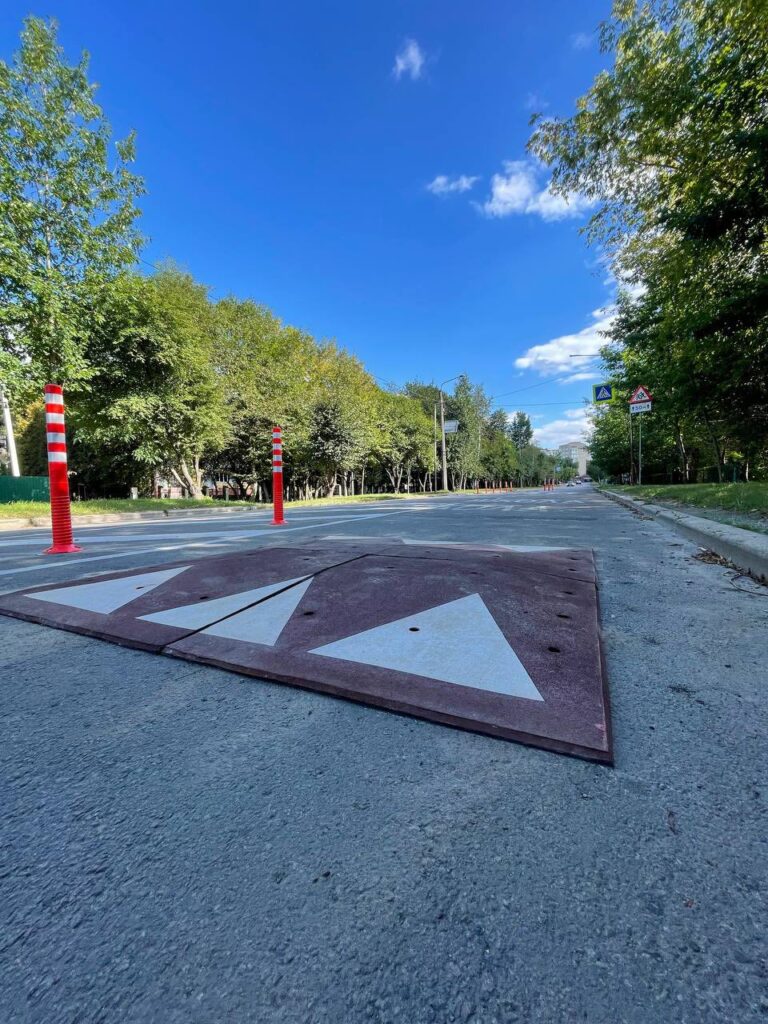 Дорога з лежачим поліцейським, дерева, небо.
