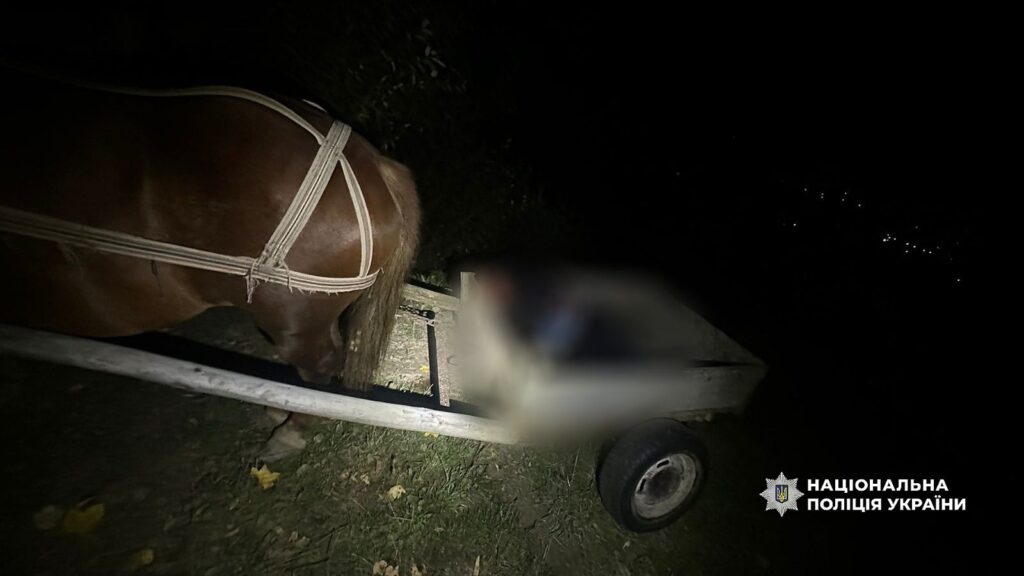 Кінь тягне візок у темряві, нічна поліція.