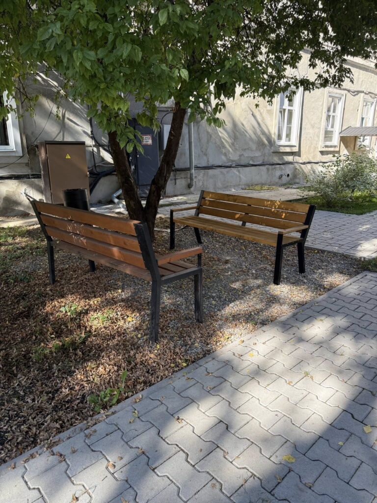 Дві лавки під деревом біля будівлі.