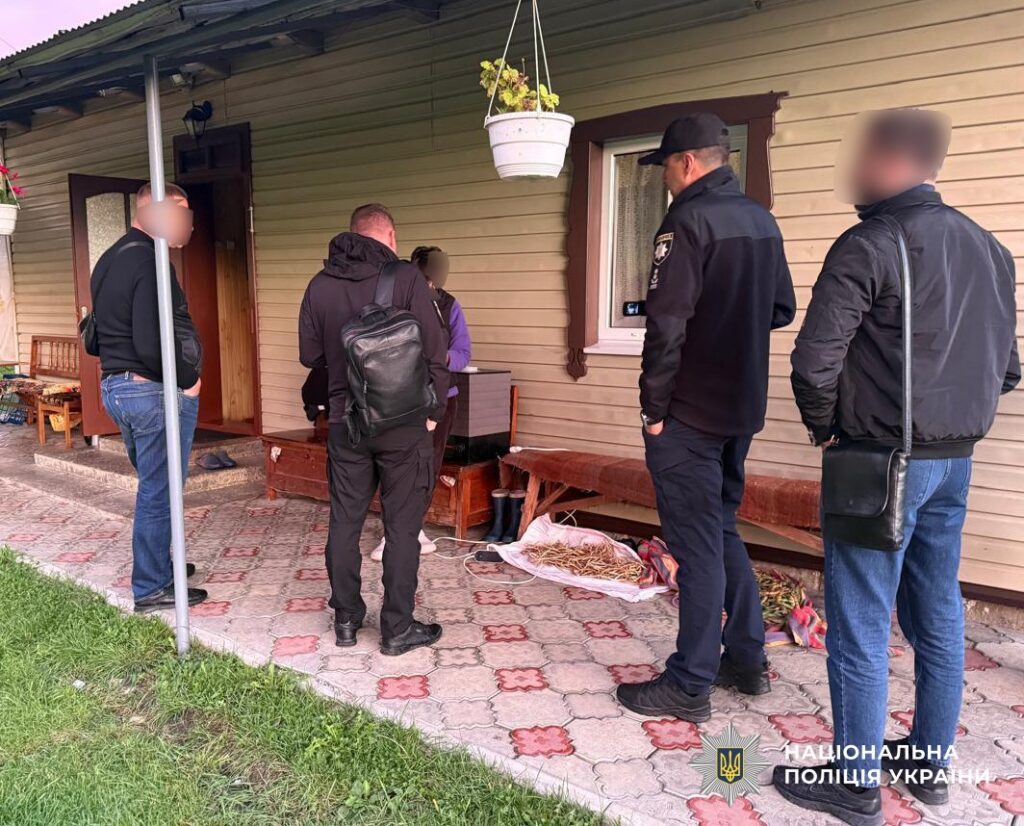 Поліцейський огляд будинку на подвір'ї