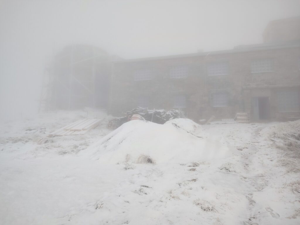 У Карпатах випав сніг. ФОТО