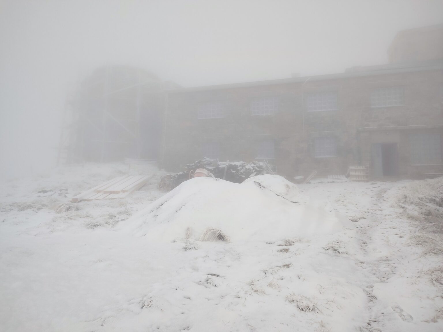У Карпатах випав сніг. ФОТО