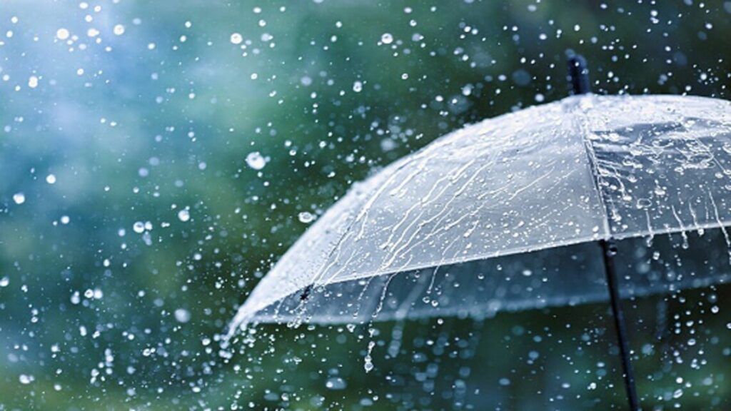 Прозора парасолька під дощем