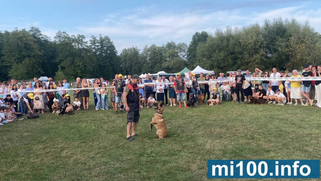 Собачий показ виступ перед глядачами на природі.