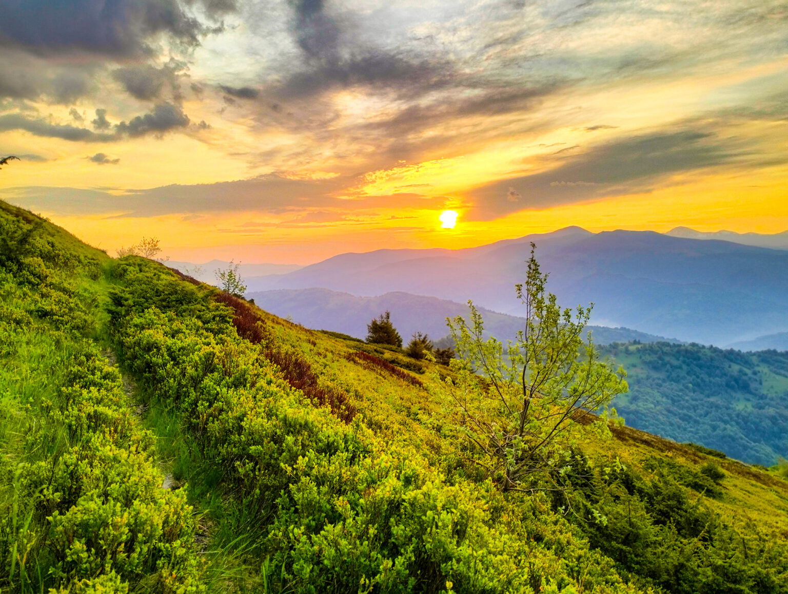 Тепліший та вологіший від норми: яким був вересень на Франківщині