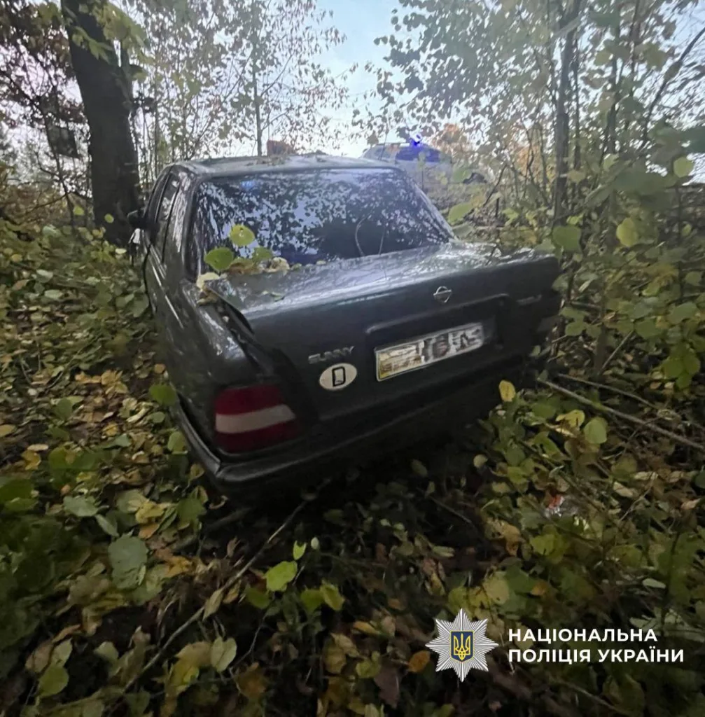 Пошкоджене авто в лісі після аварії