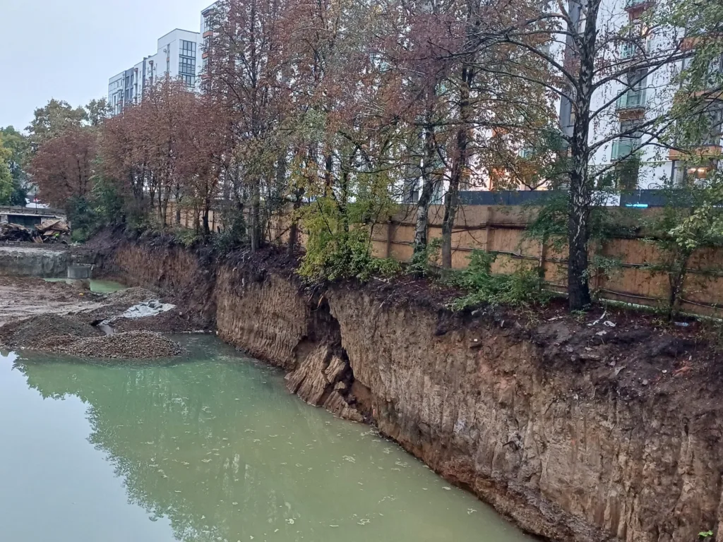 Берег із деревами біля каламутної води