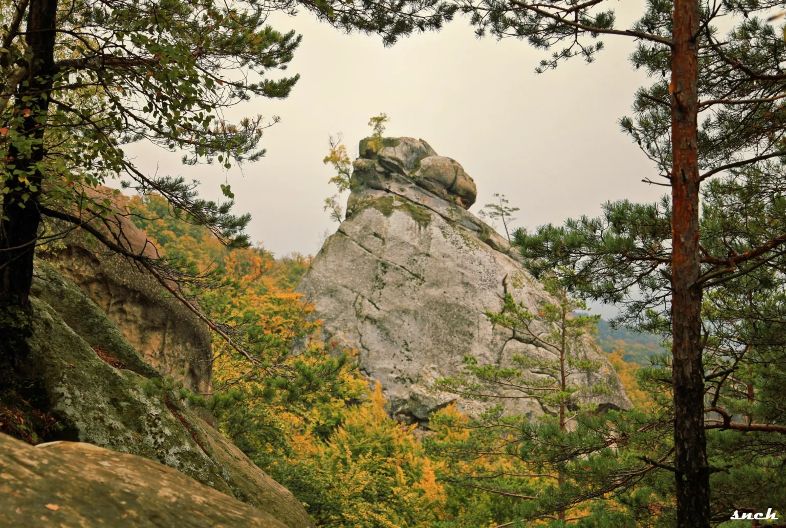 Погода на Івано-Франківщині 15 жовтня