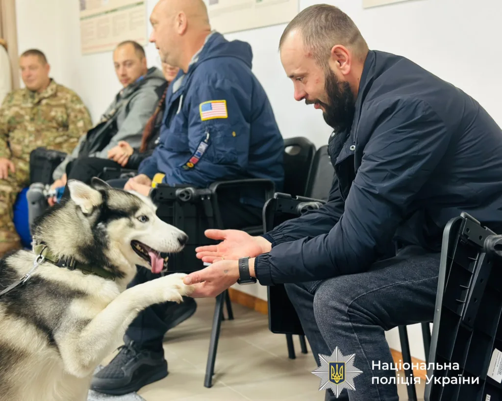 Поліцейський вітається з собакою хаскі