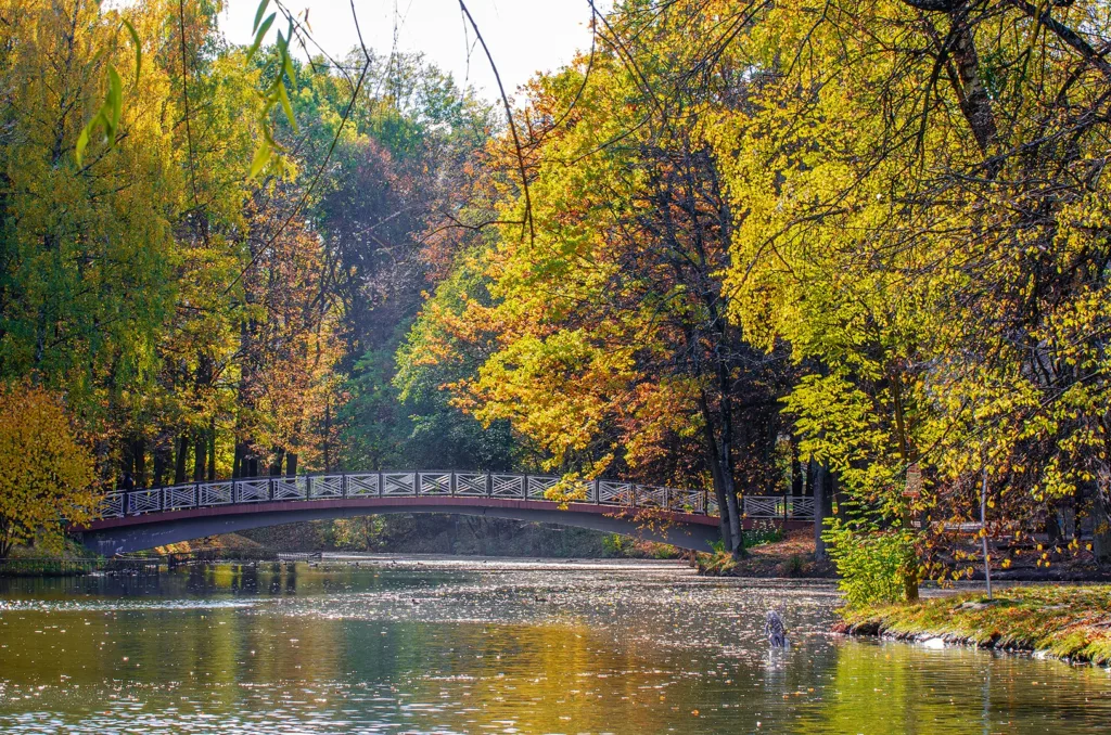 Осінній парк з мостом над річкою