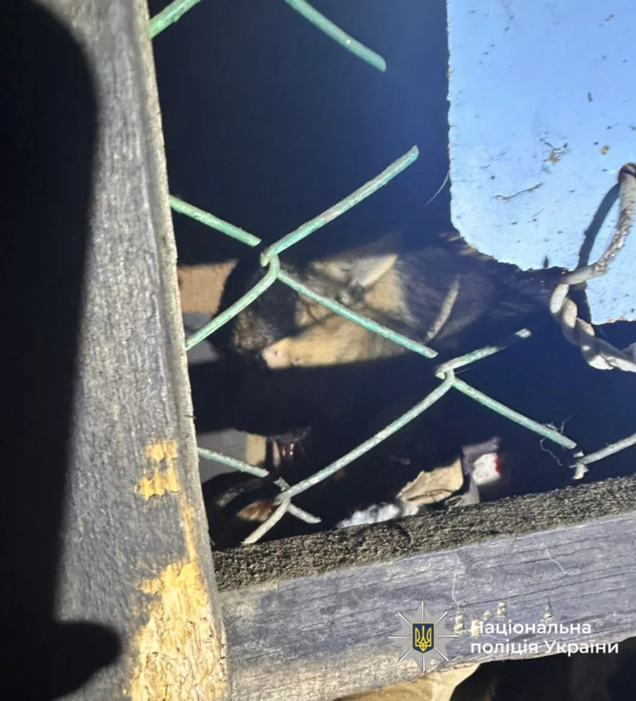 Собака за металевою сіткою в темному місці