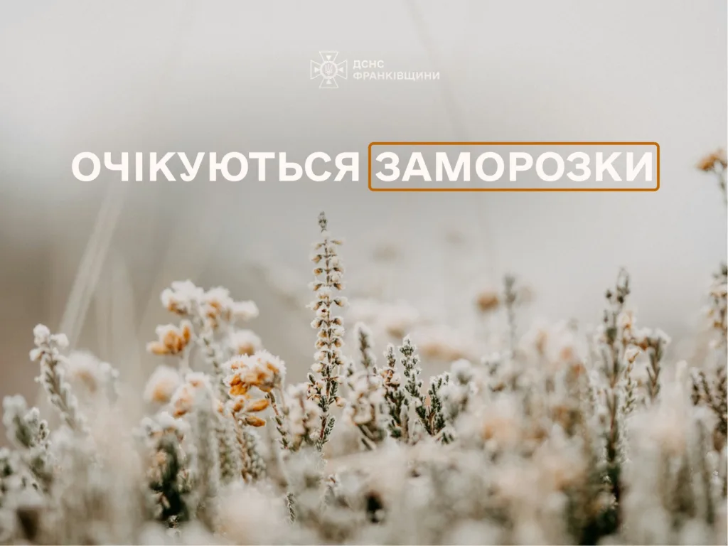 Попередження про заморозки від ДСНС України