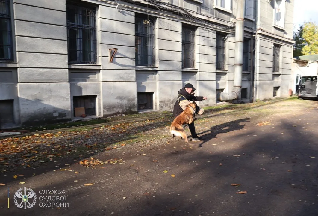 Дресирування службового собаки біля будівлі суду