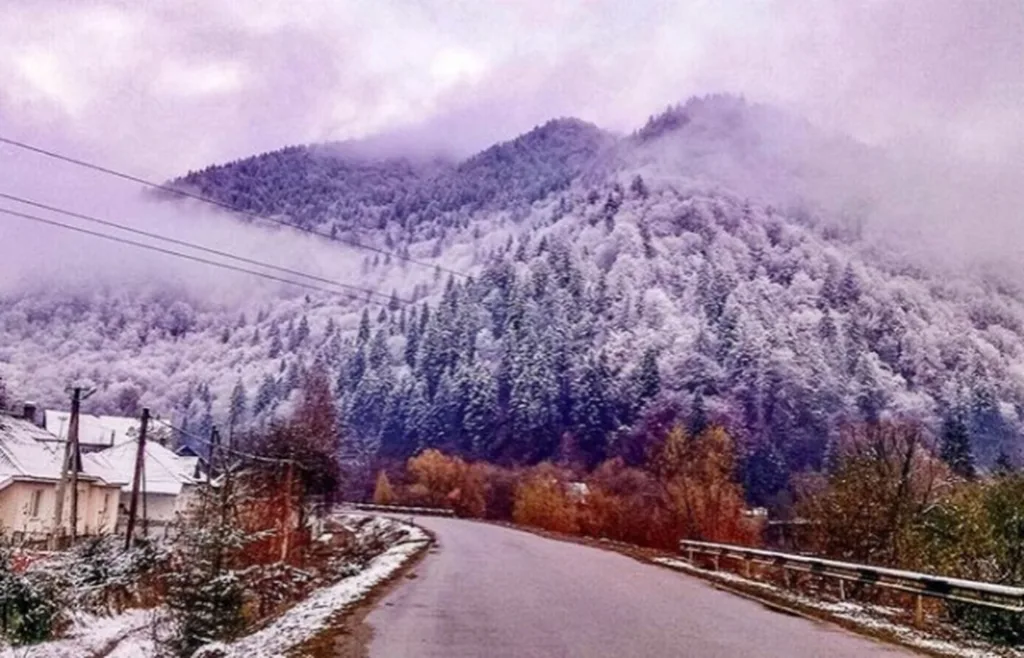 Сьогодні високогірну частину Франківщини знову засипле снігом