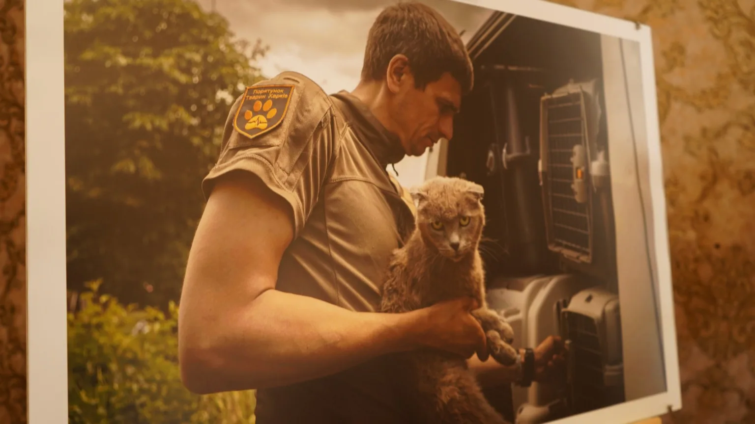 Рятувальник тримає кота біля транспортувальної клітки