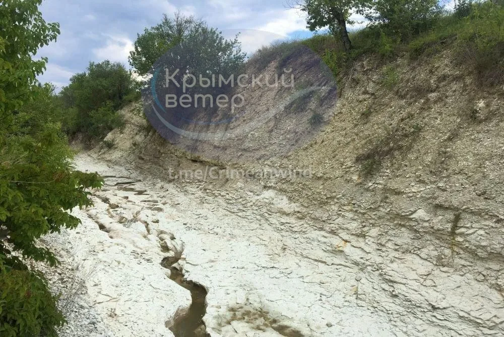 Висохле русло річки серед скель і дерев