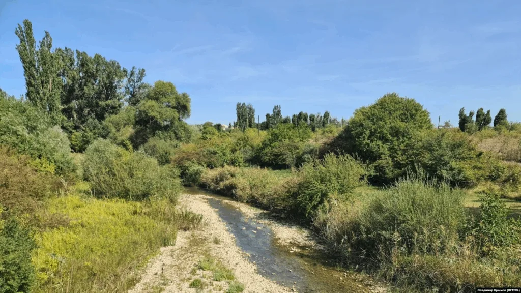 Невелика річка серед зелених дерев і кущів