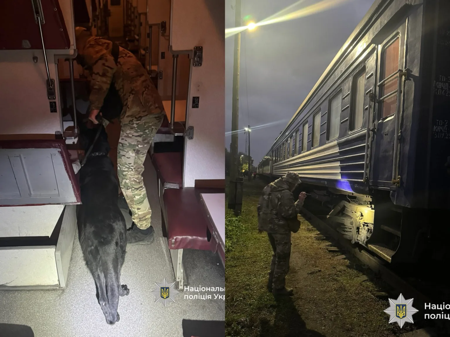 Поліцейські перевіряють потяг із службовим собакою