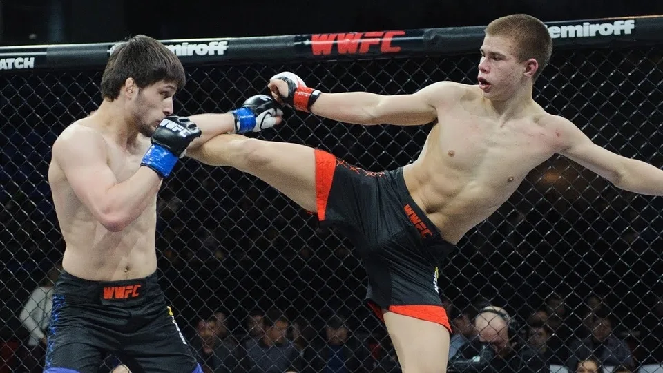 Бійці ММА під час поєдинку в октагоні