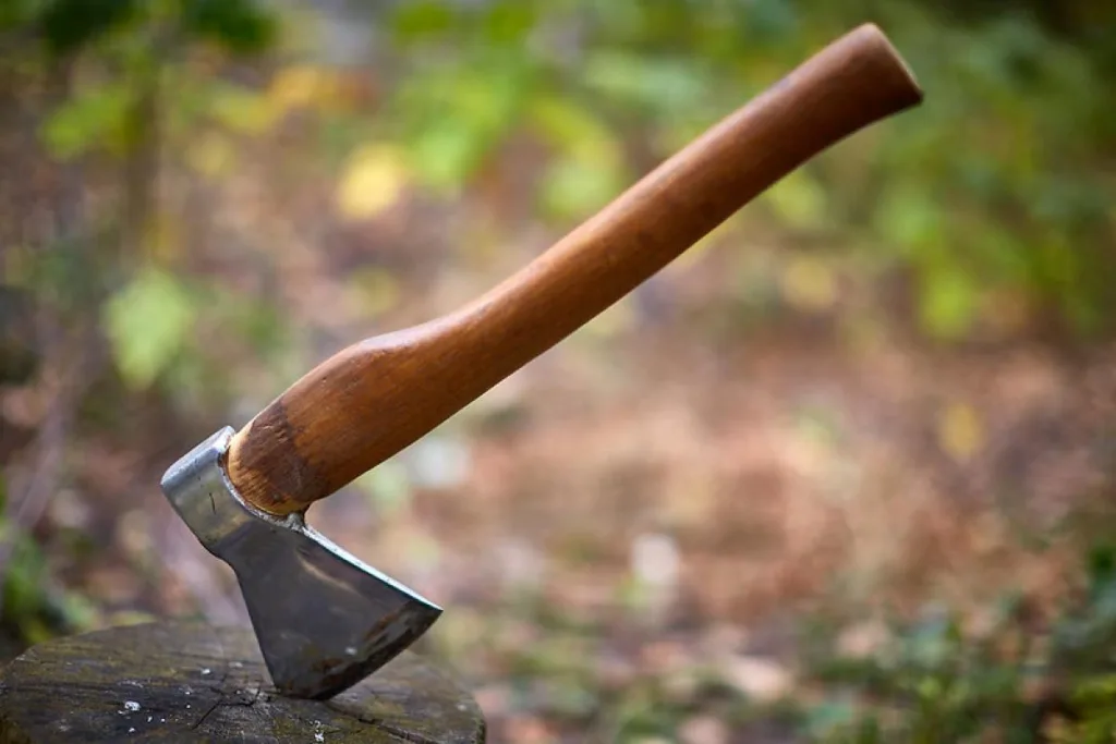 Сокира з дерев'яною ручкою на пеньку