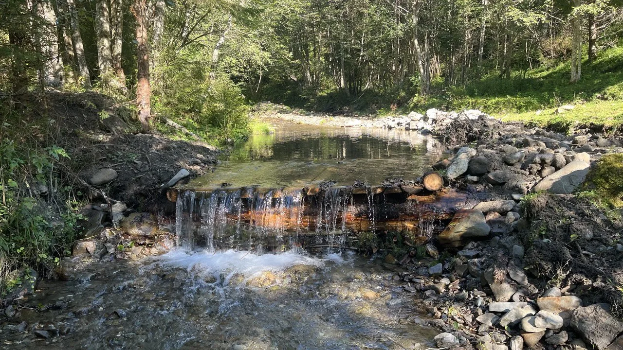 Невеликий водоспад у лісі серед природи