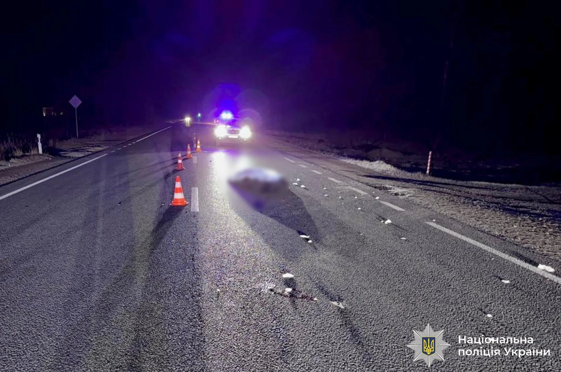 Нічна ДТП на трасі з поліцією України