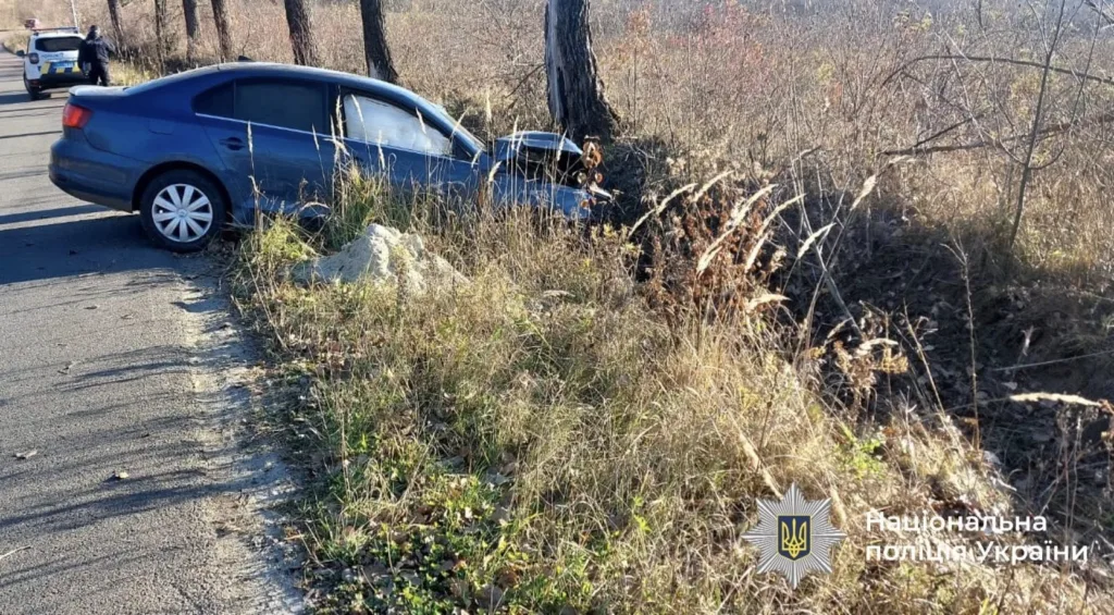 Автомобіль зʼїхав у кювет біля дороги