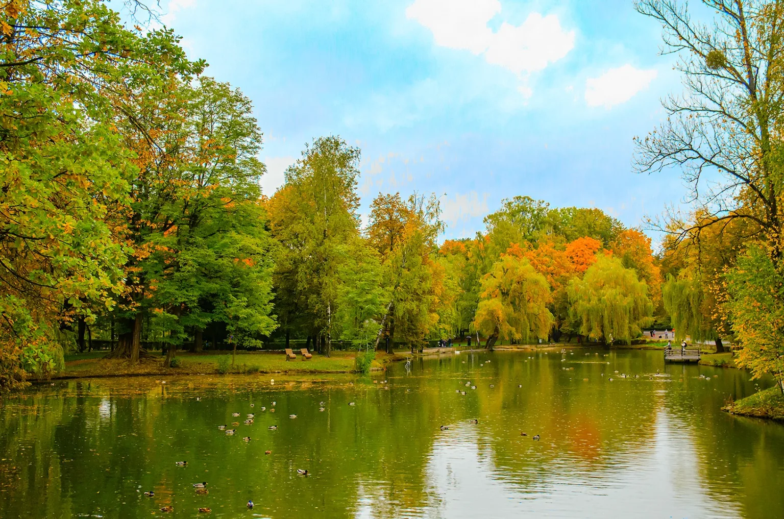 Осінній парк з озером та різнокольоровими деревами