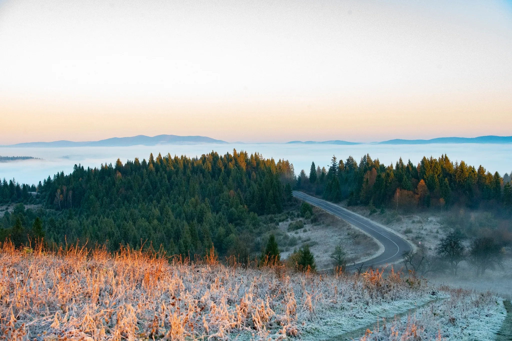 Зимовий пейзаж з дорогою серед соснового лісу