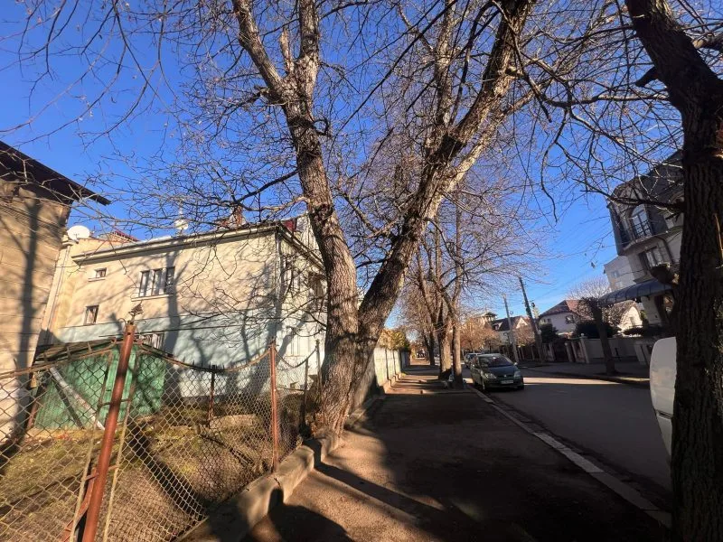 Вуличний пейзаж із будинками та деревами взимку