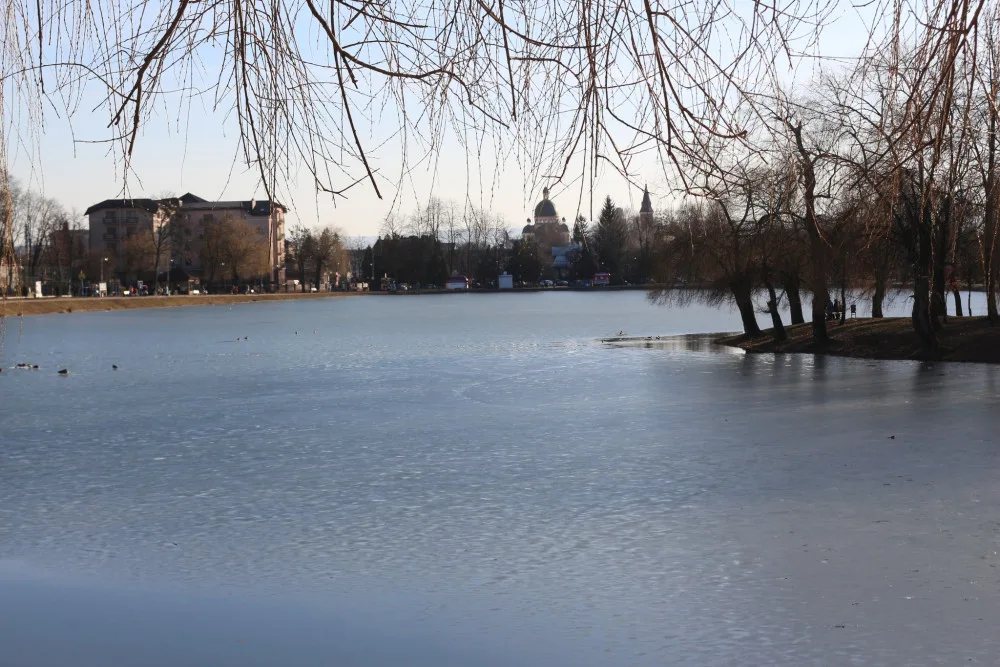 Озеро з деревами та міськими будівлями взимку