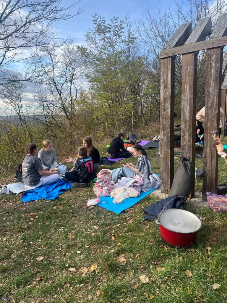 Група людей відпочиває на природі біля лісу