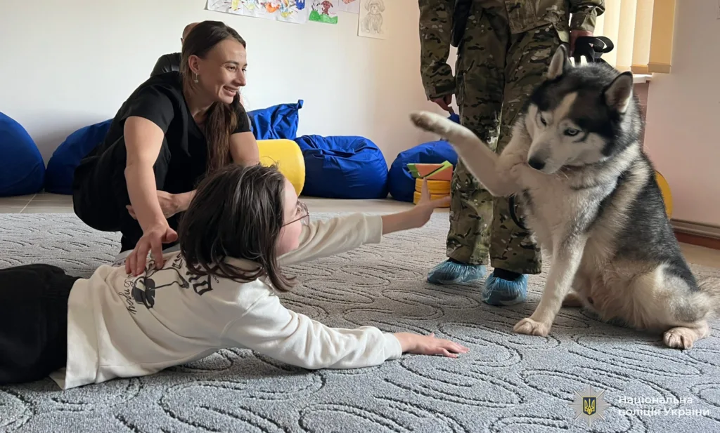 Дитина грає з хаскі під наглядом дорослих