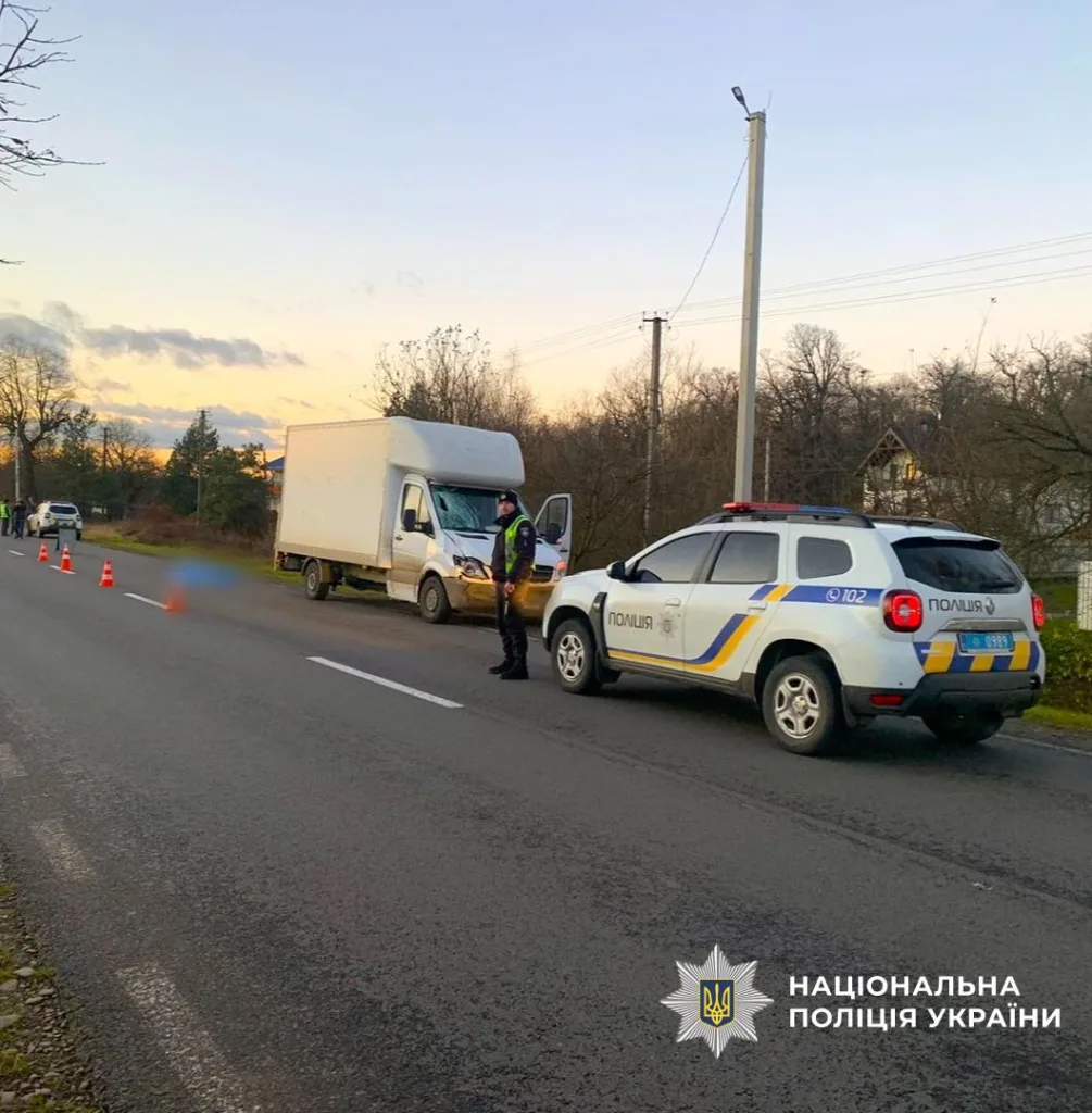 Поліція перевіряє вантажівку на дорозі