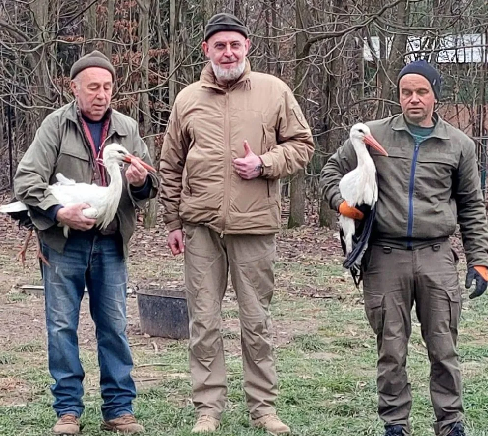 Троє чоловіків тримають лелек у парку