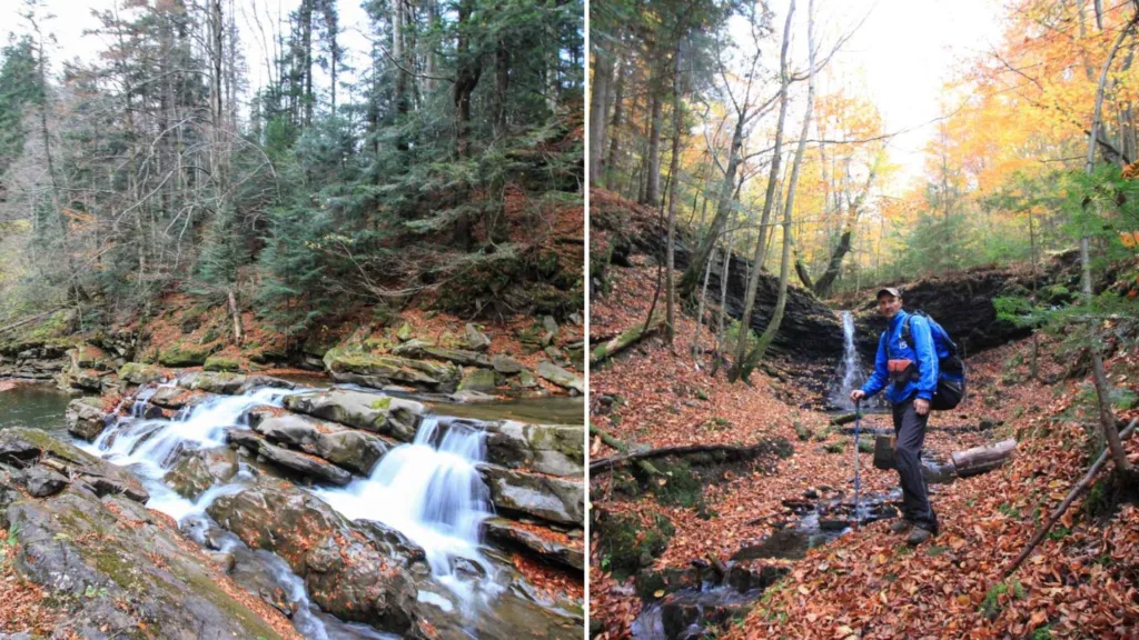 Осінній ліс і водоспади в Карпатах