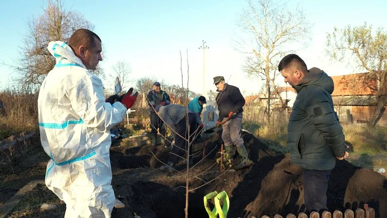 Люди саджають дерева на подвір’ї восени