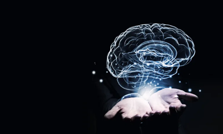 Людські руки тримають віртуальне зображення мозку