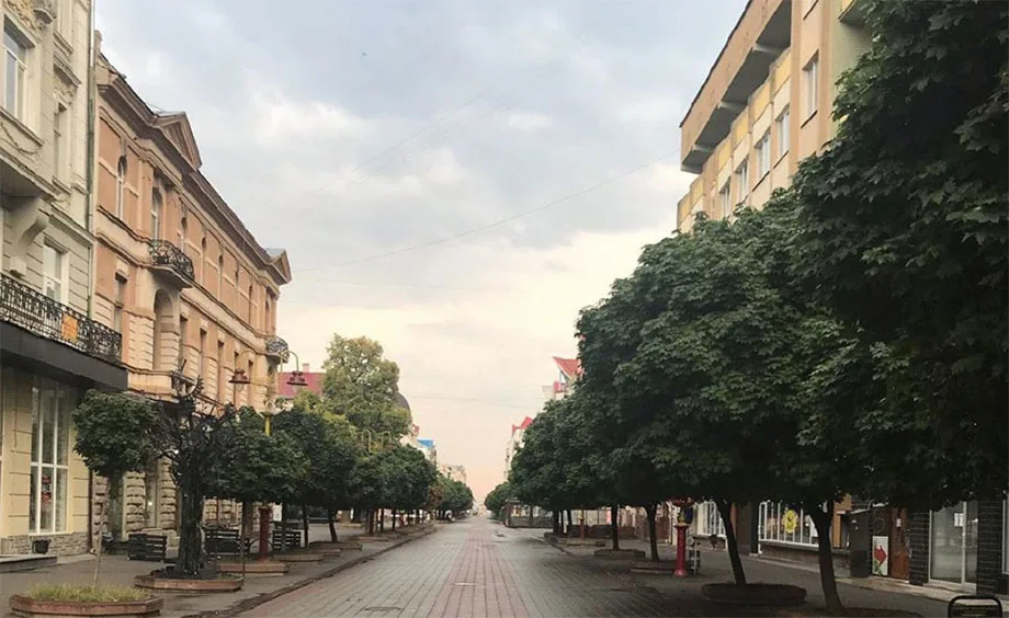 Порожня вулиця з деревами та будинками у місті