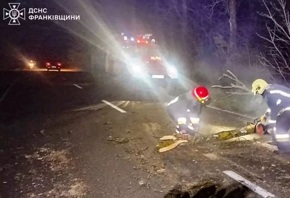 Рятувальники прибирають повалене дерево з дороги вночі