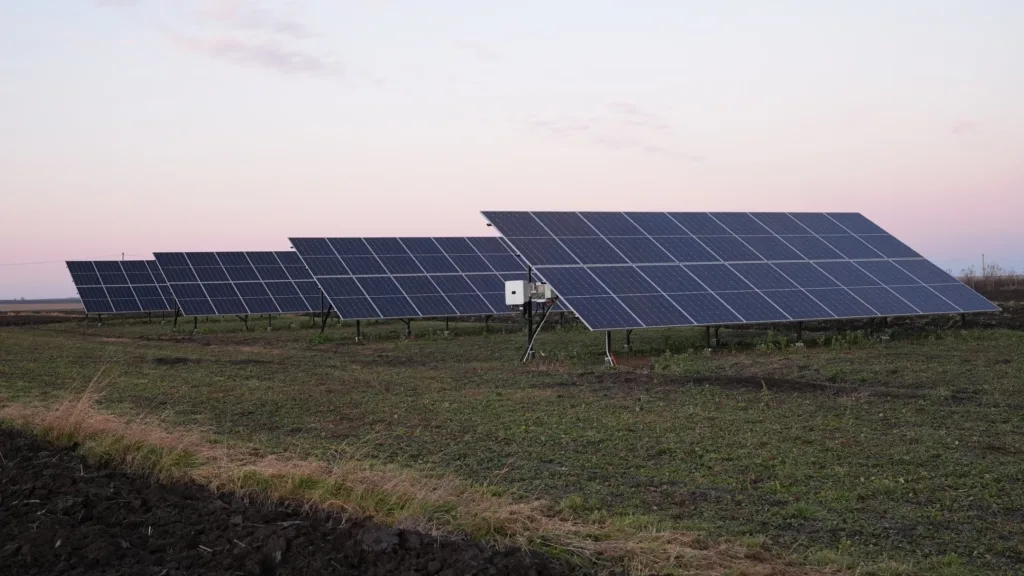 Сонячні панелі на полі під вечірнім небом