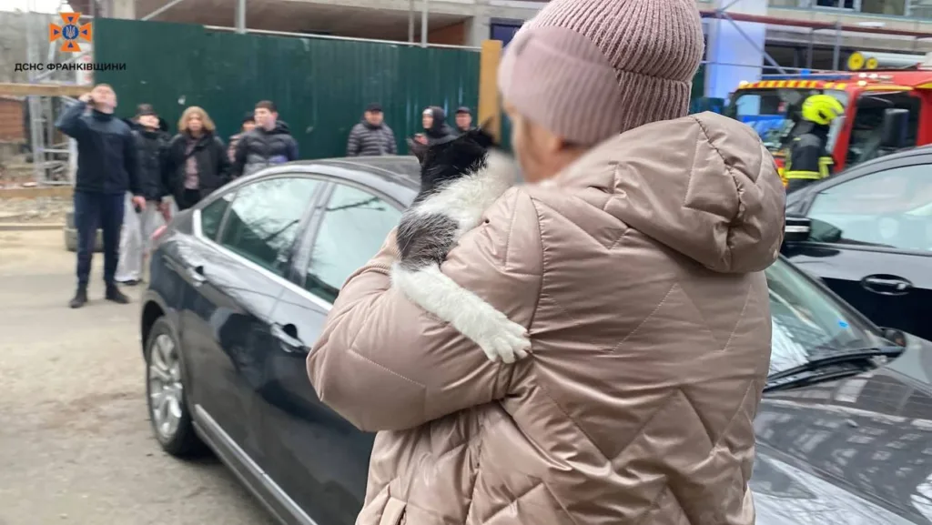 Жінка тримає кота на вулиці біля машин