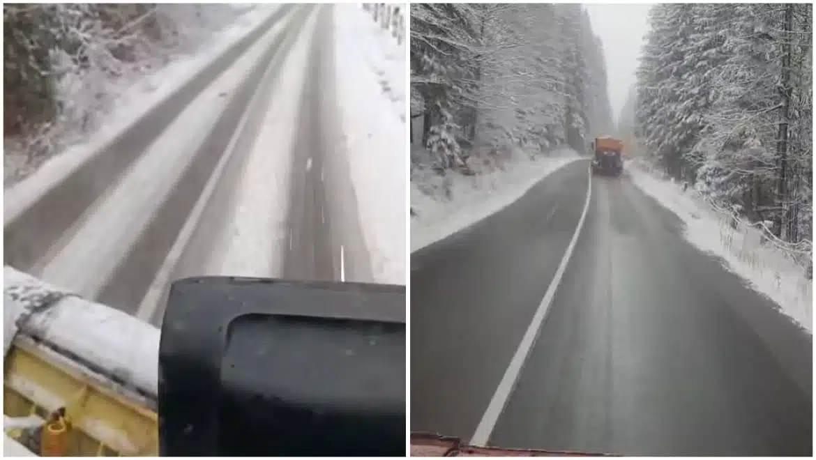 Розчищення снігу на зимовій дорозі серед лісу