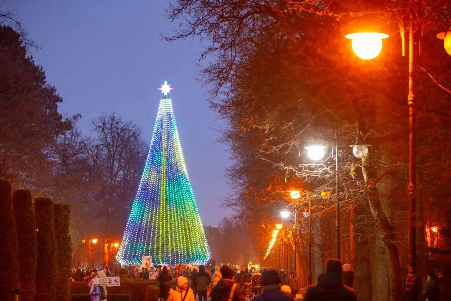 Різдвяна ялинка з вогнями в міському парку
